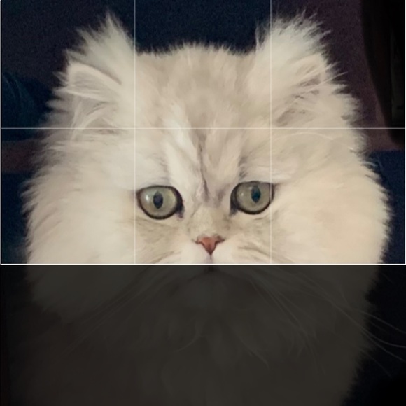 Posh Party 🎉 - Picture 4 of 6